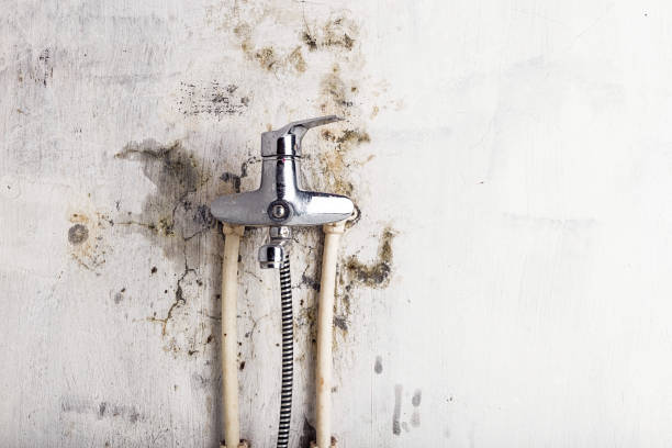 Best HVAC Mold Remediation in Vicksburg, MI