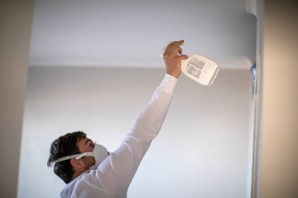 Best Residential Mold Remediation in Vicksburg, MI