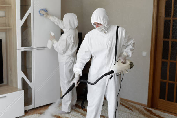 Best Emergency Mold Remediation in Vicksburg, MI